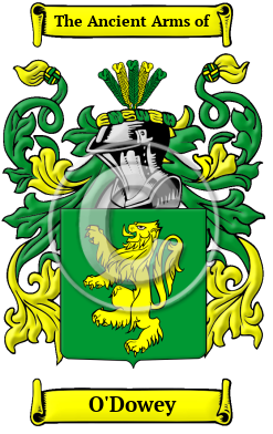 O'Dowey Family Crest/Coat of Arms