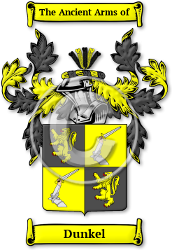 Dunkel Family Crest Download (JPG) Legacy Series - 600 DPI