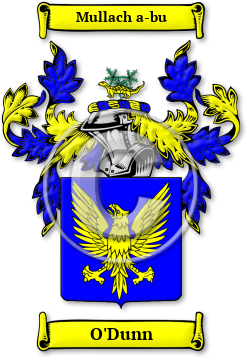 O'Dunn Family Crest Download (jpg) Legacy Series - 150 DPI