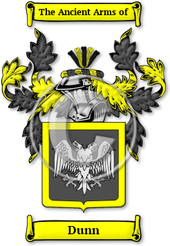 Dunn Family Crest Download (jpg) Legacy Series - 150 DPI