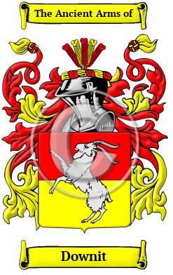 Downit Family Crest/Coat of Arms