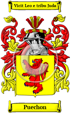 Puechon Family Crest/Coat of Arms