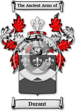 Durant Family Crest Download (jpg) Legacy Series - 150 DPI