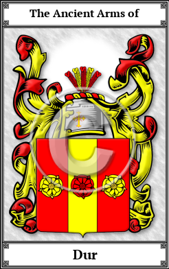 Dur Family Crest Download (JPG)  Book Plated - 150 DPI