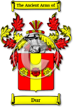 Dur Family Crest Download (jpg) Legacy Series - 150 DPI