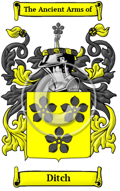 Ditch Family Crest/Coat of Arms