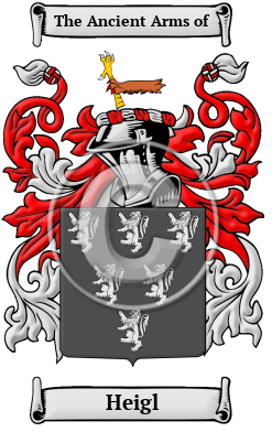 Heigl Family Crest/Coat of Arms