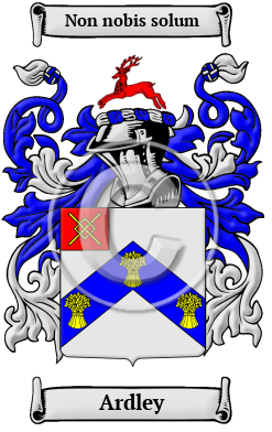Ardley Family Crest/Coat of Arms