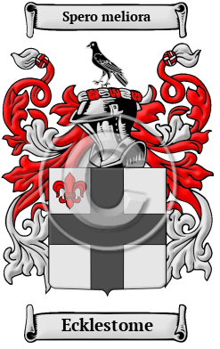 Ecklestome Family Crest/Coat of Arms