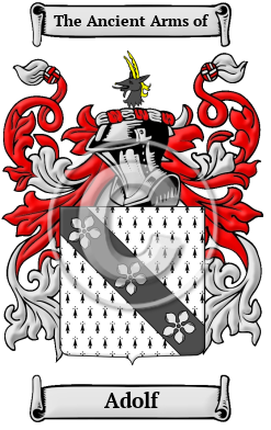 Adolf Family Crest/Coat of Arms