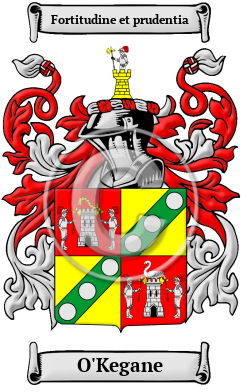 O'Kegane Family Crest/Coat of Arms