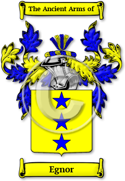 Egnor Family Crest Download (JPG) Legacy Series - 600 DPI