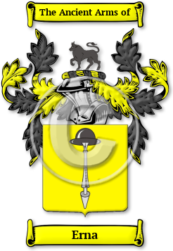Erna Family Crest Download (JPG) Legacy Series - 600 DPI