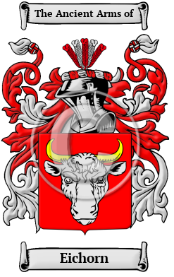 Eichorn Family Crest/Coat of Arms