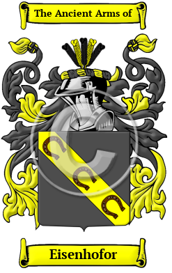 Eisenhofor Family Crest/Coat of Arms