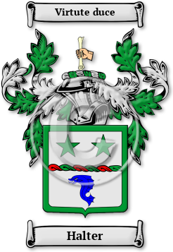 Halter Family Crest Download (jpg) Legacy Series - 150 DPI