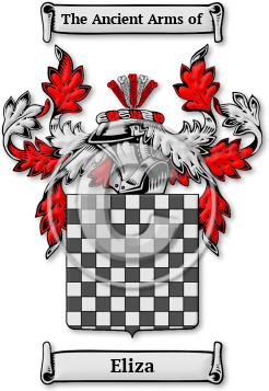 Eliza Family Crest Download (JPG) Legacy Series - 600 DPI