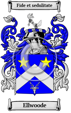 Ellwoode Family Crest/Coat of Arms