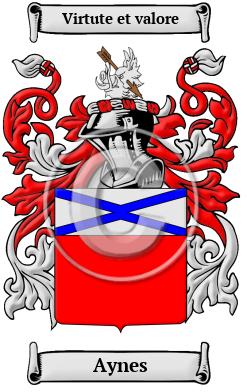 Aynes Family Crest/Coat of Arms