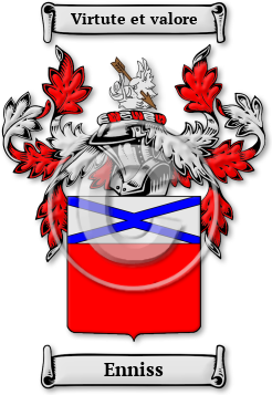 Enniss Family Crest Download (JPG) Legacy Series - 600 DPI