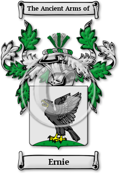 Ernie Family Crest Download (jpg) Legacy Series - 150 DPI