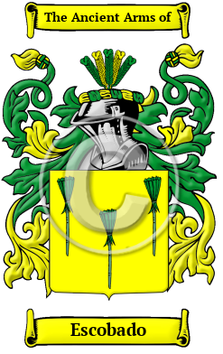 Escobado Family Crest/Coat of Arms
