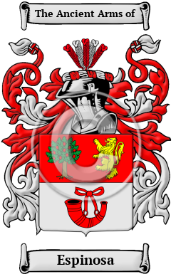 Espinosa Family Crest/Coat of Arms