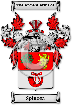 Spinoza Family Crest Download (JPG) Legacy Series - 600 DPI