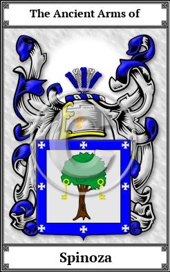 Spinoza Family Crest Download (JPG)  Book Plated - 150 DPI