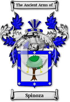 Spinoza Family Crest Download (jpg) Legacy Series - 150 DPI