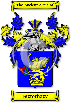 Eszterhazy Family Crest Download (jpg) Legacy Series - 150 DPI