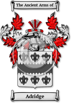 Adridge Family Crest Download (jpg) Legacy Series - 150 DPI