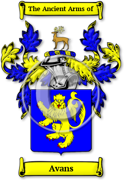 Avans Family Crest Download (jpg) Legacy Series - 150 DPI