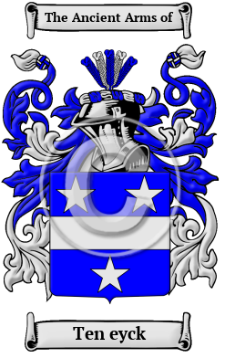 Ten eyck Family Crest/Coat of Arms