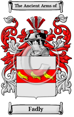 Fadly Family Crest/Coat of Arms