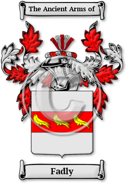 Fadly Family Crest Download (jpg) Legacy Series - 150 DPI