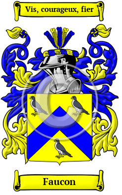 Faucon Family Crest/Coat of Arms