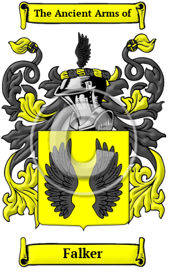 Falker Family Crest/Coat of Arms