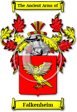 Falkenheim Family Crest Download (JPG) Legacy Series - 600 DPI