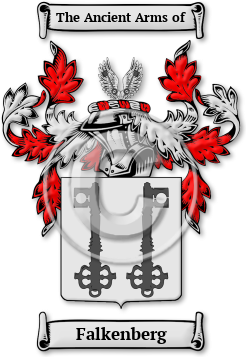 Falkenberg Family Crest Download (jpg) Legacy Series - 150 DPI