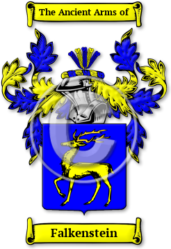 Falkenstein Family Crest Download (jpg) Legacy Series - 150 DPI
