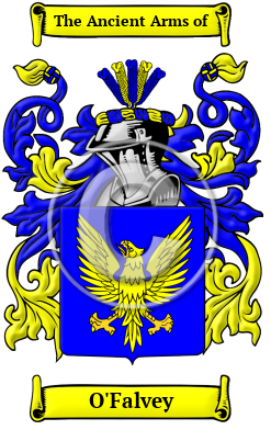 O'Falvey Family Crest/Coat of Arms