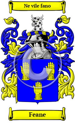 Feane Family Crest/Coat of Arms