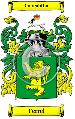 Ferrel Family Crest/Coat of Arms
