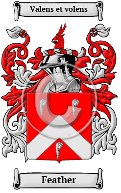 Feather Family Crest/Coat of Arms