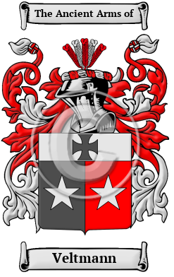 Veltmann Family Crest/Coat of Arms