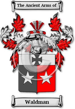 Waldman Family Crest Download (jpg) Legacy Series - 150 DPI