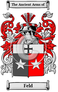 Feld Family Crest/Coat of Arms