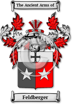 Feldberger Family Crest Download (JPG) Legacy Series - 600 DPI