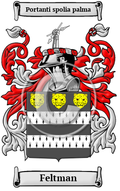 Feltman Family Crest/Coat of Arms